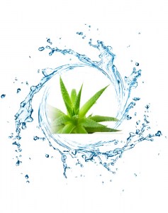 Ανθόνερο Αλόη 100ml